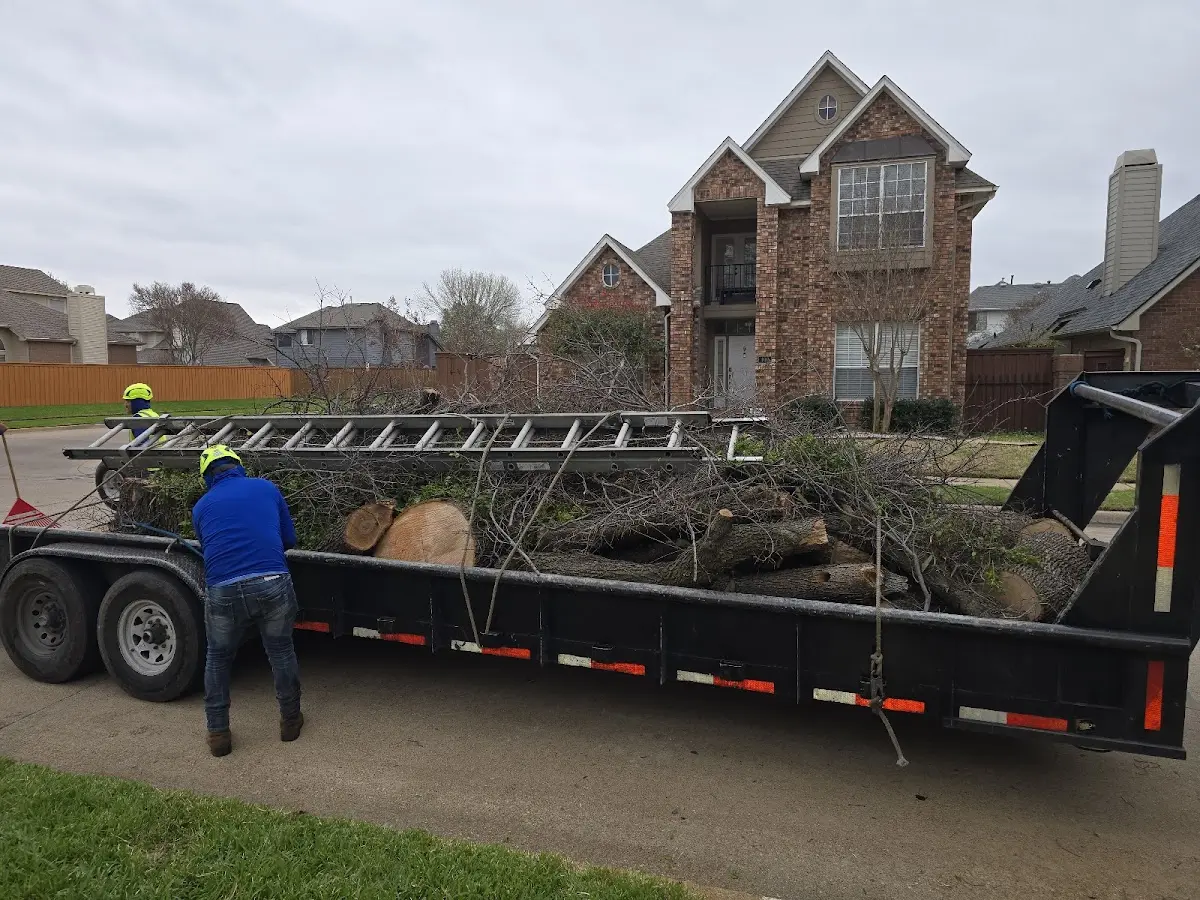Expert Lot Clearing with proper safety equipment in Cache